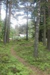 Stigen upp mot huset, juni 2013.jpg