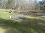 Vårsådd pågår april 2015