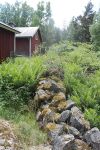 Stengärdsgården bakom hus och uthus, juni 2013